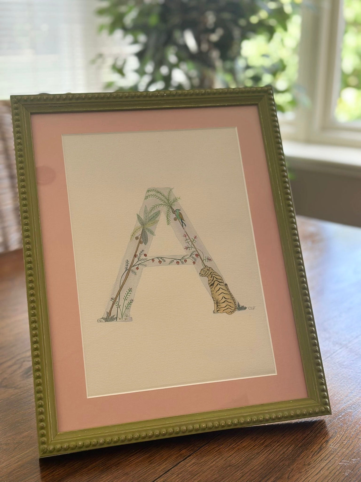 Illustrated letters