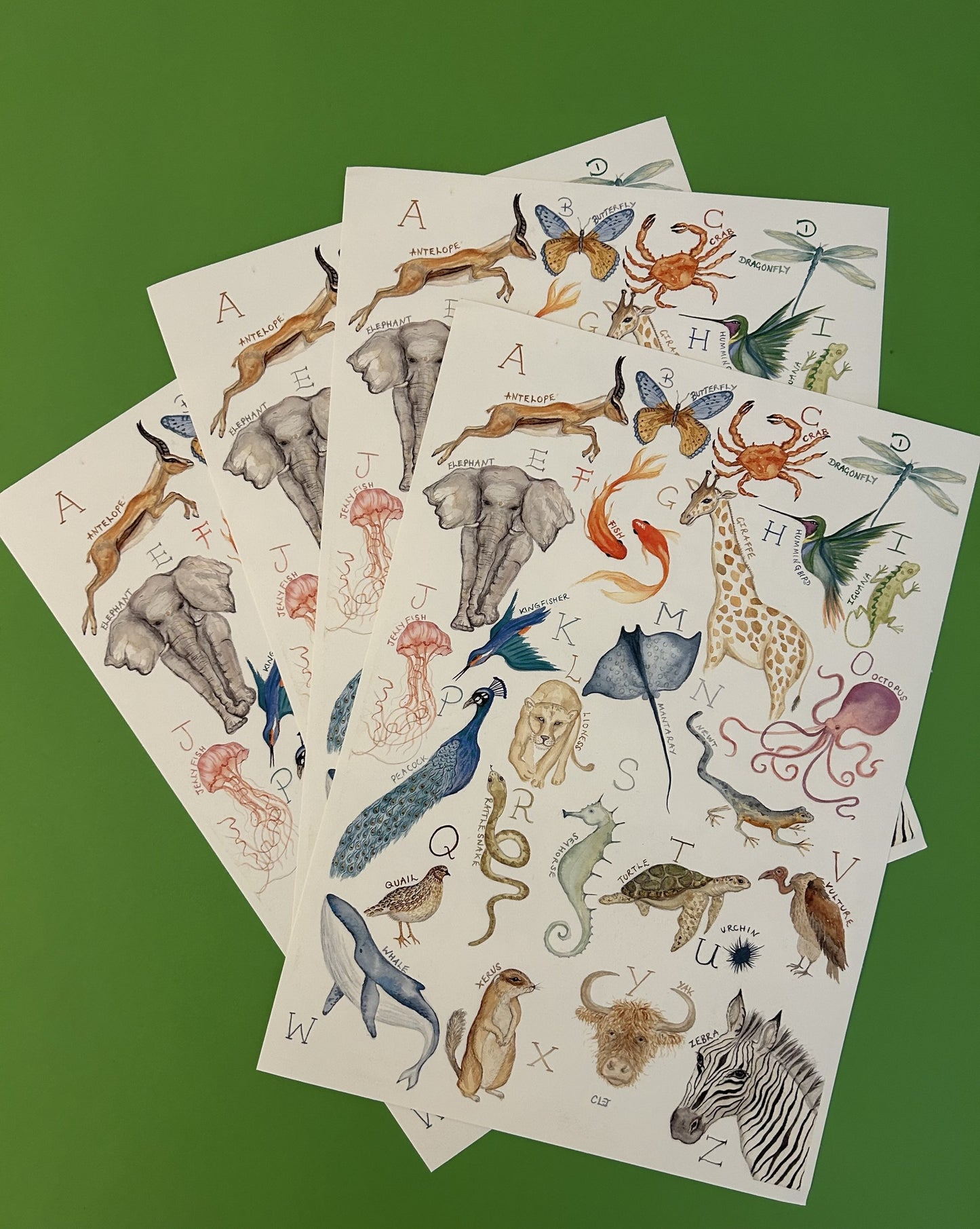 Animal Alphabet Print