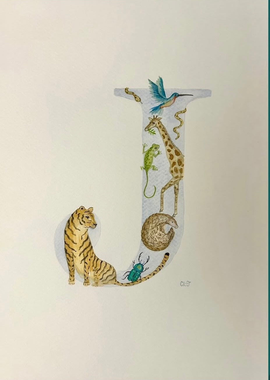 Illustrated letters