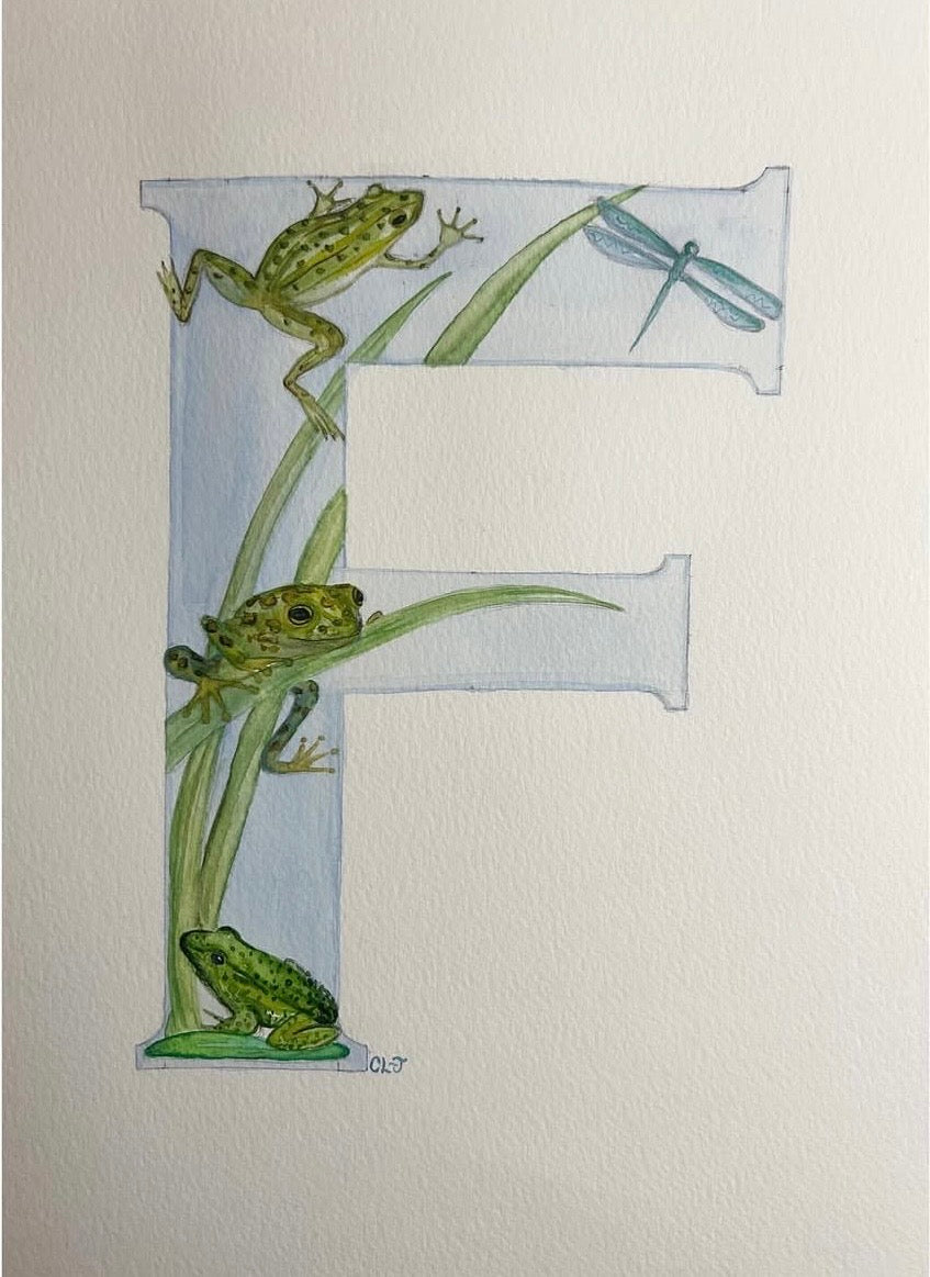 Illustrated letters