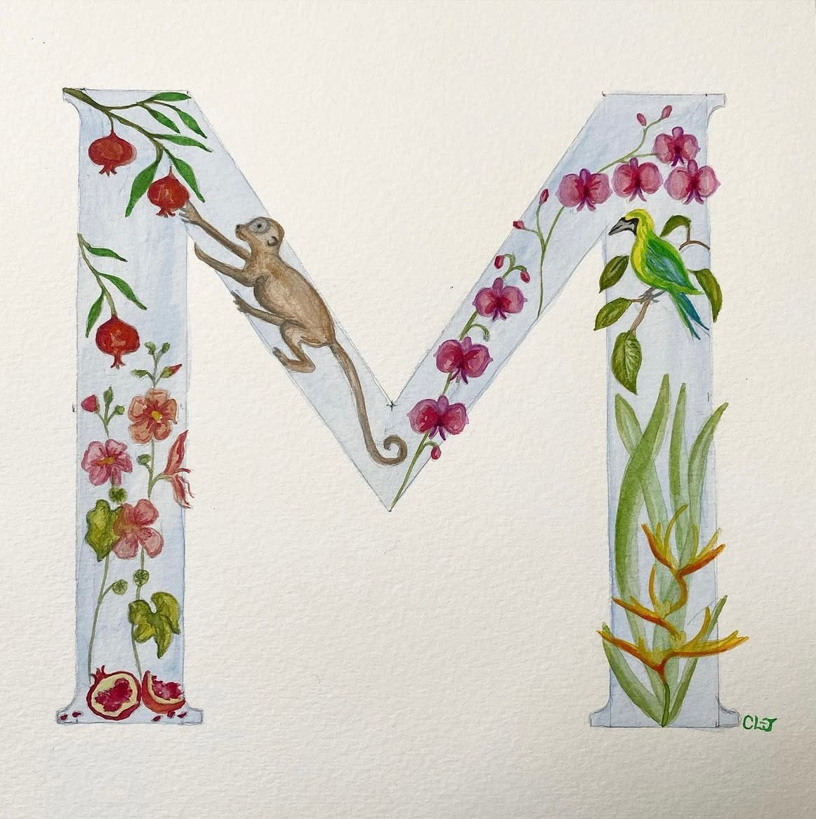 Illustrated letters