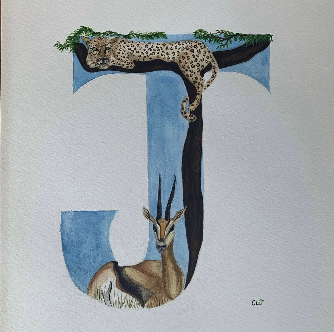 Illustrated letters