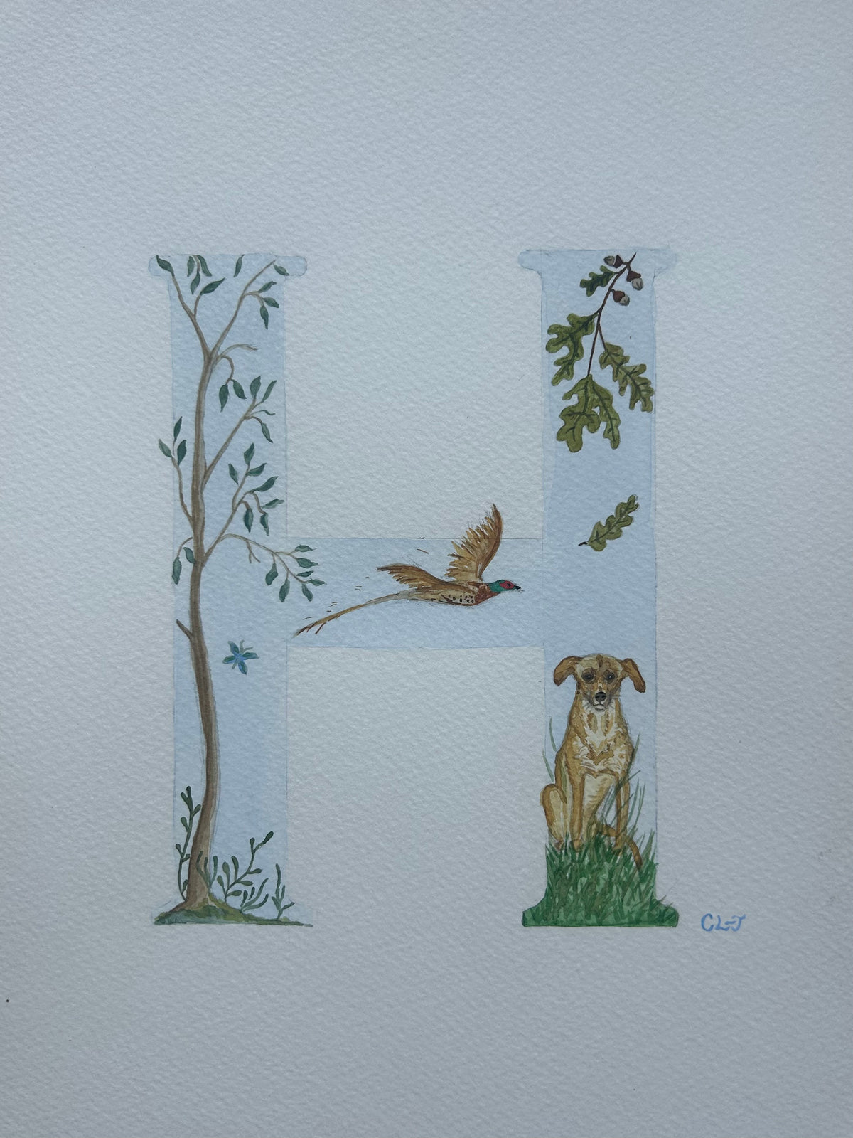 Illustrated letters