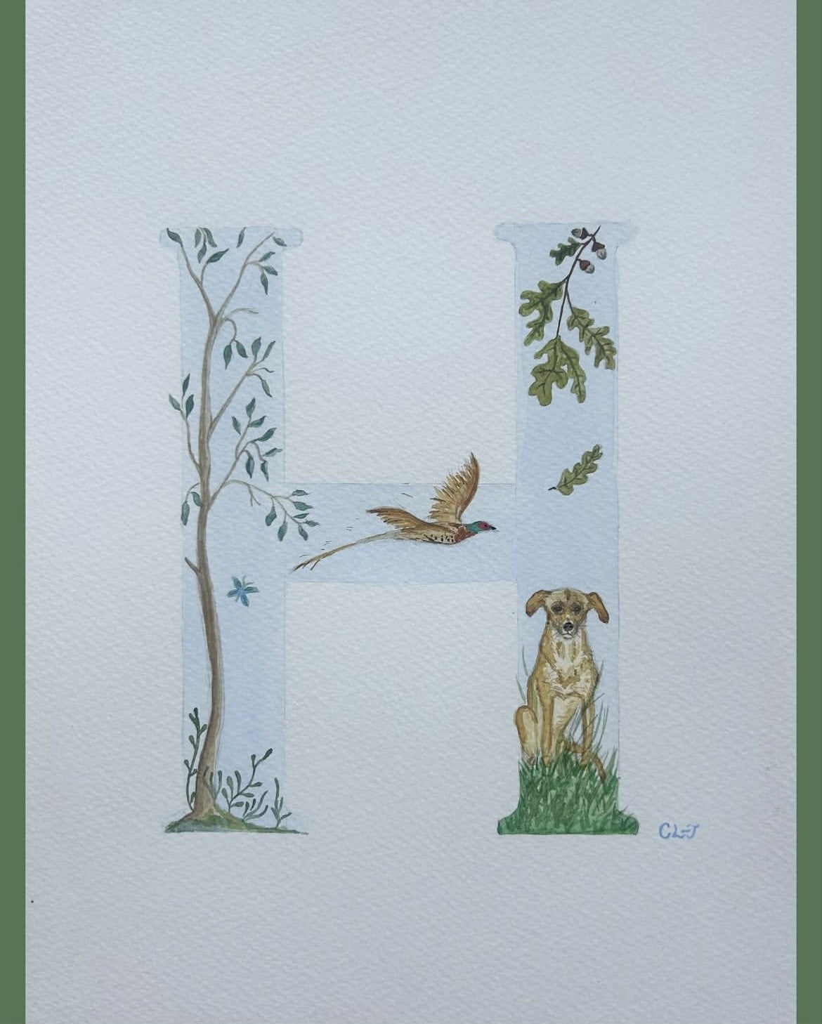 Bespoke Illustrated Initials