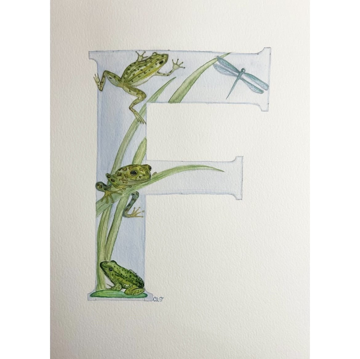 Bespoke Illustrated Initials