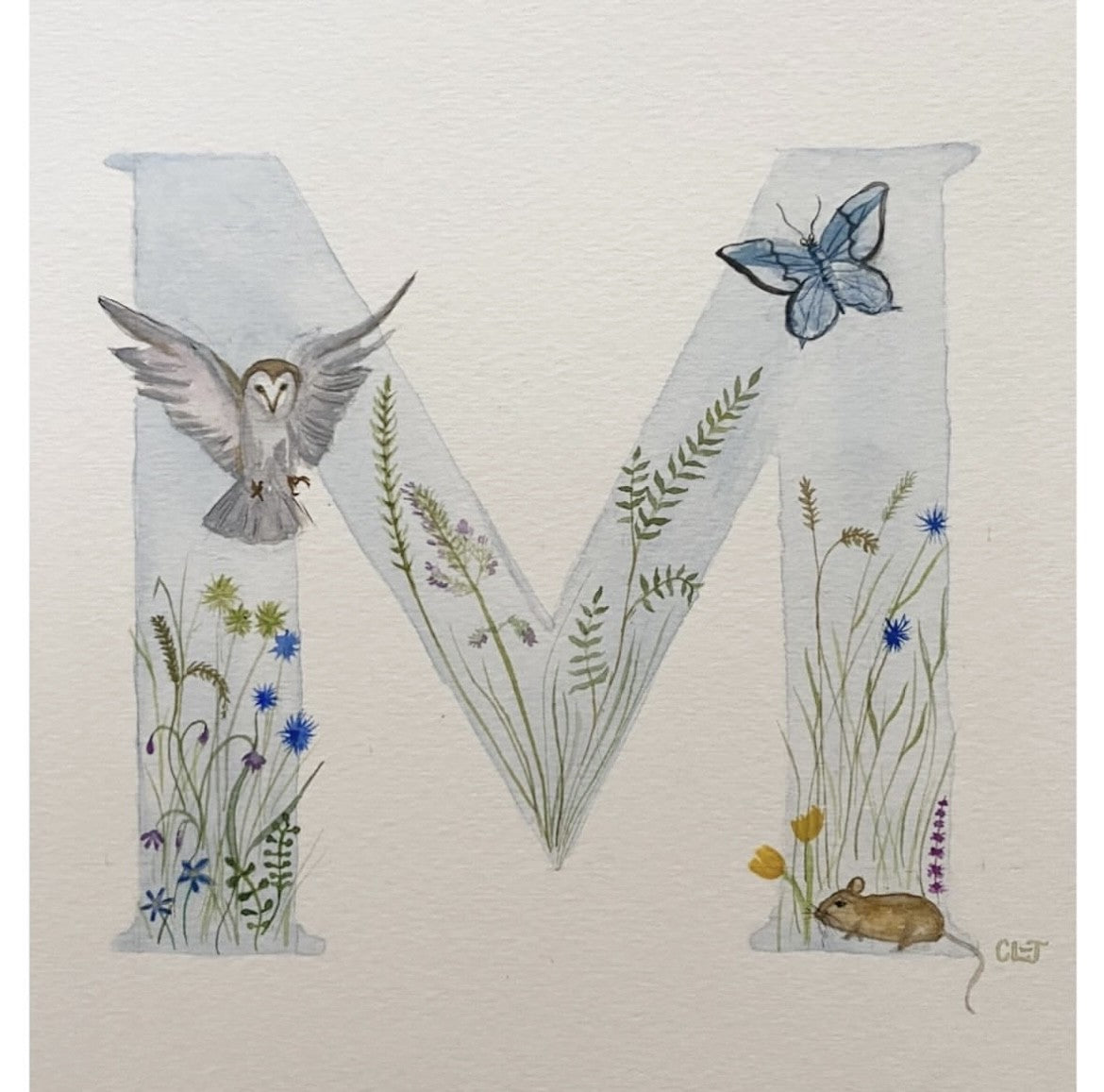 Bespoke Illustrated Initials