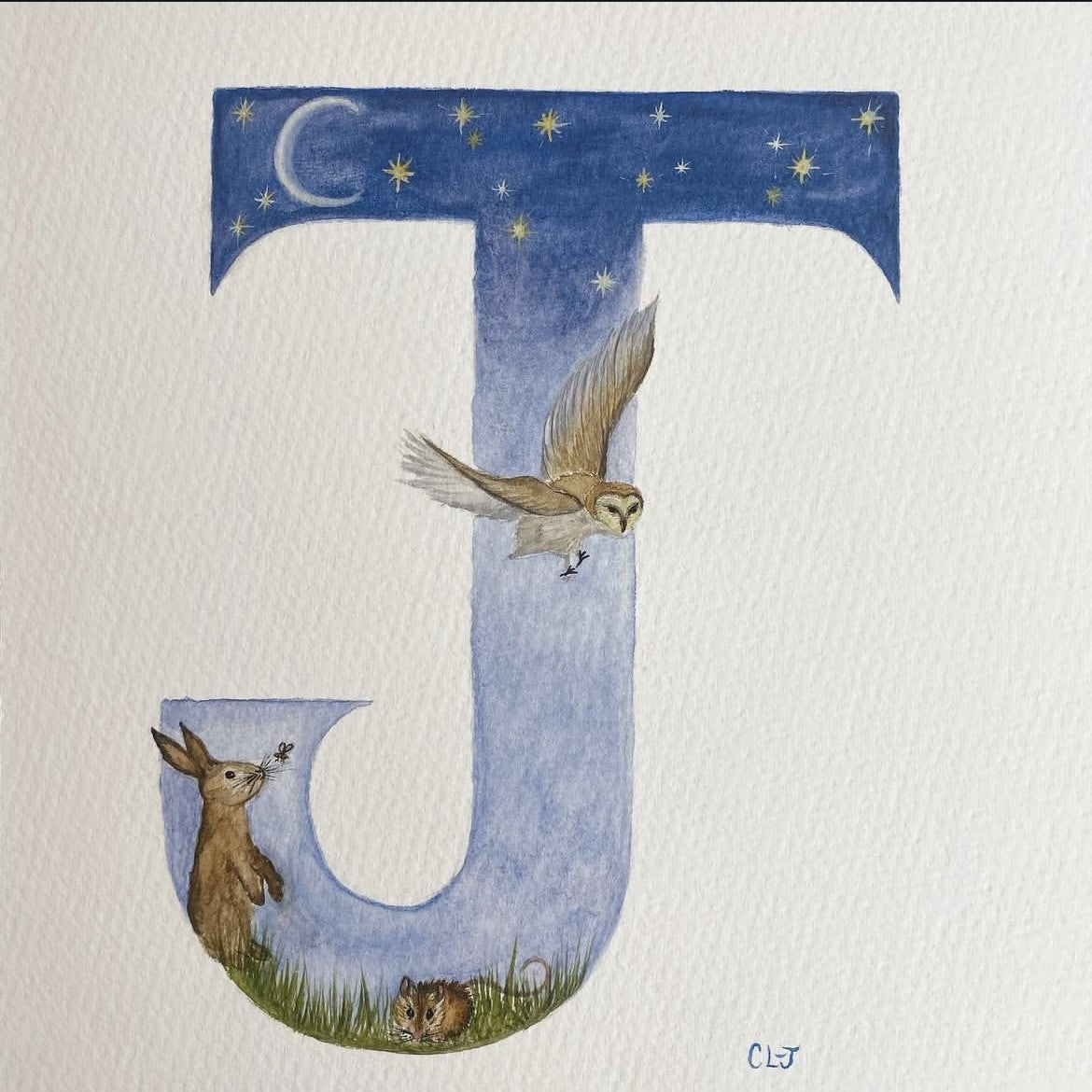 Bespoke Illustrated Initials
