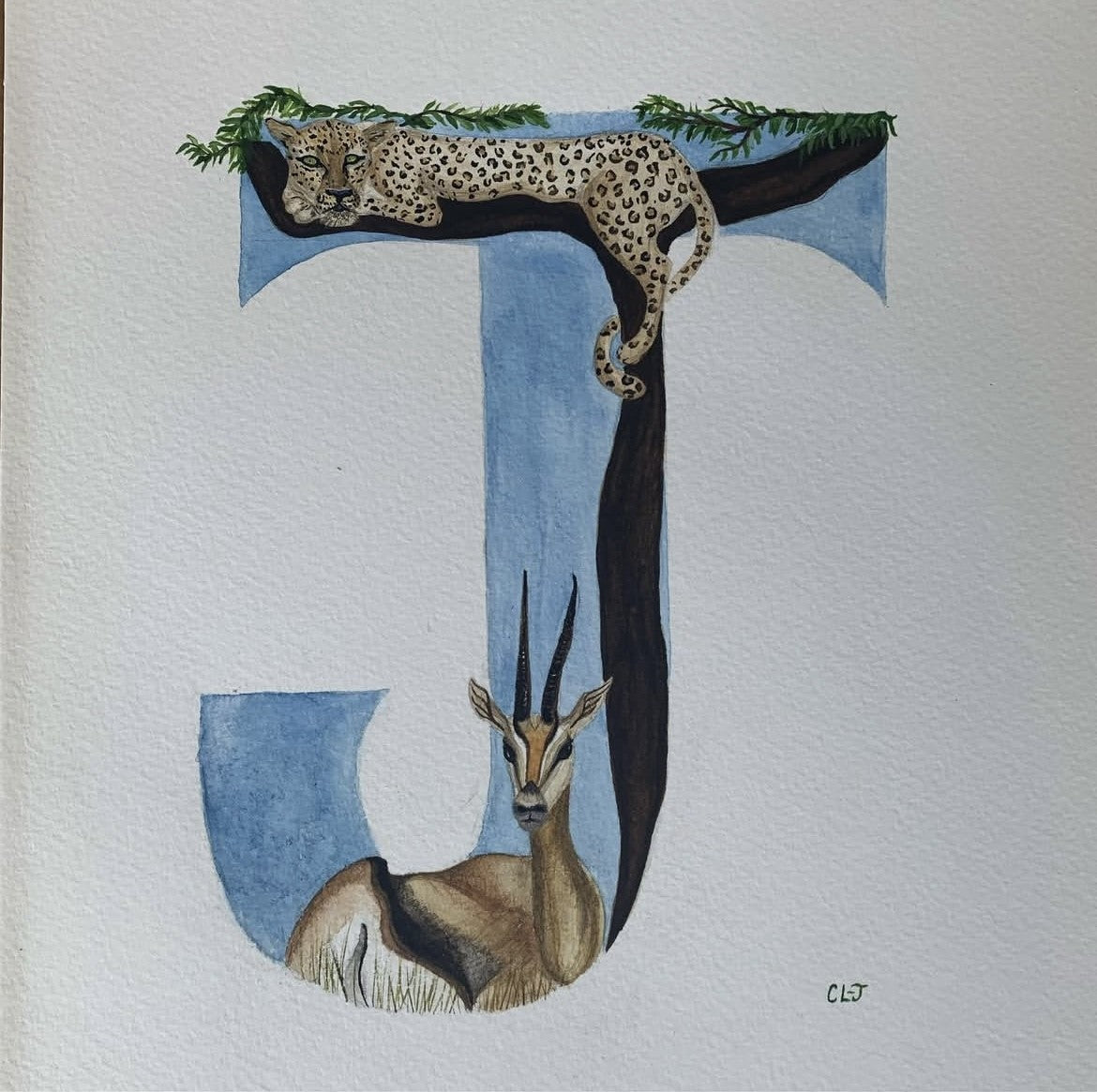 Bespoke Illustrated Initials