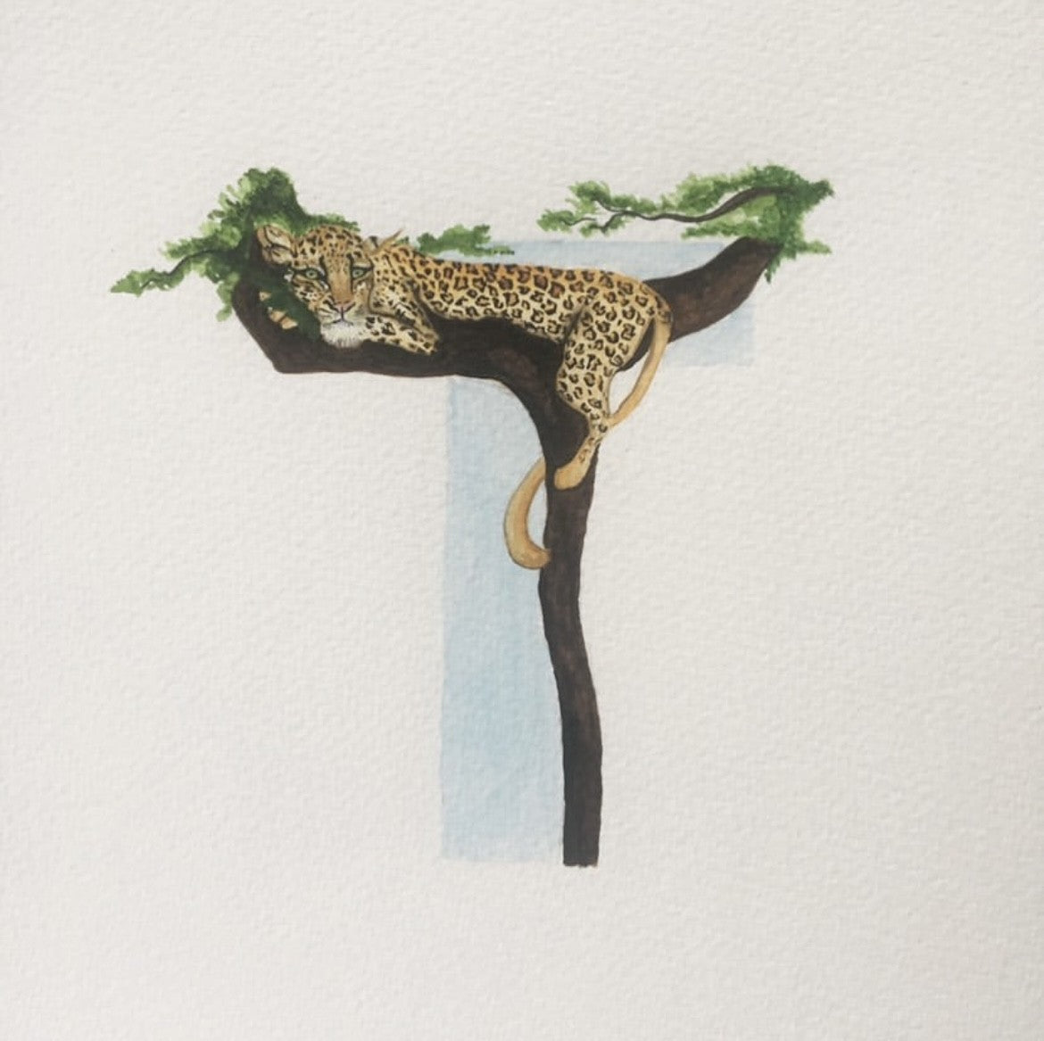 Bespoke Illustrated Initials