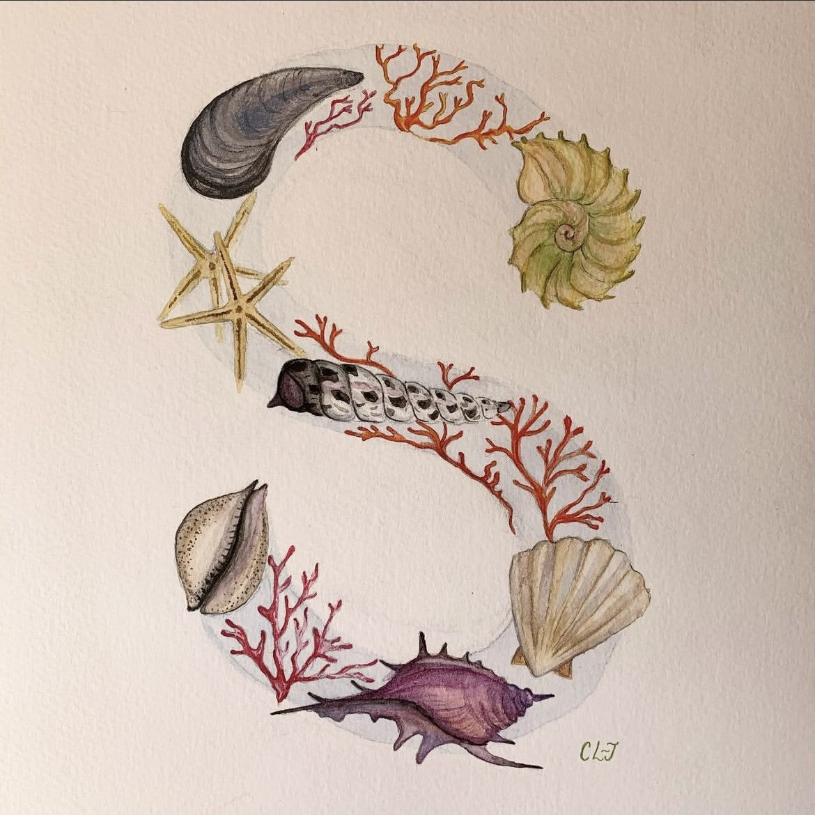 Bespoke Illustrated Initials